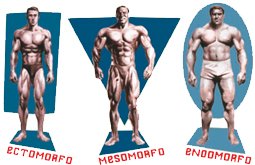 [MUSCULARIZANDO] - TESTE DE BIOTIPO