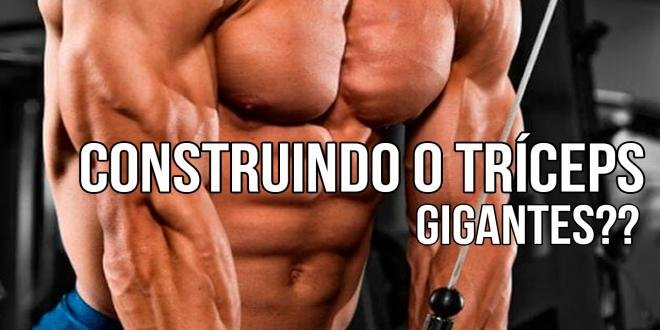 CONSTRUINDO TRÍCEPS GIGANTES: DICAS PARA AUMENTAR TAMANHO E FORÇA